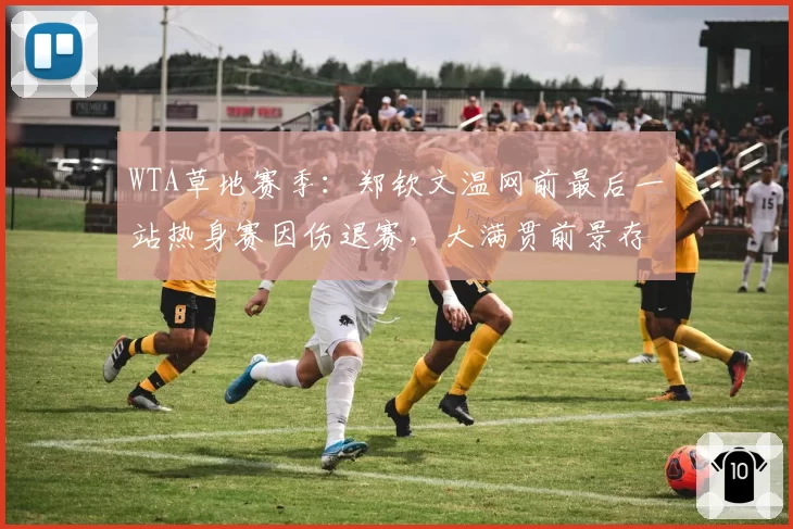 WTA草地赛季：郑钦文温网前最后一站热身赛因伤退赛，大满贯前景存疑？