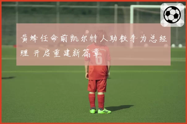 黄蜂任命前凯尔特人助教李为总经理 开启重建新篇章