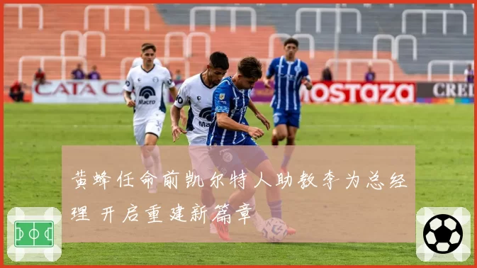 黄蜂任命前凯尔特人助教李为总经理 开启重建新篇章
