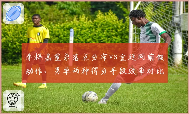李梓嘉重杀落点分布vs金廷网前假动作，男单两种得分手段效率对比