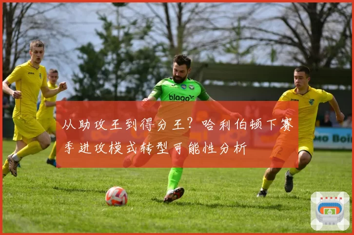 从助攻王到得分王?哈利伯顿下赛季进攻模式转型可能性分析